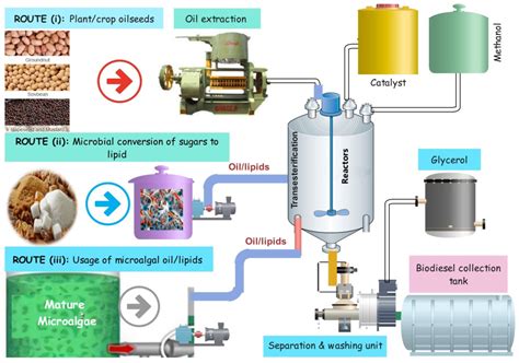  Barley: Un'Esplorazione del suo Potenziale nella Produzione di Biocarburanti e nella Fabbricazione di Alimenti per Animali