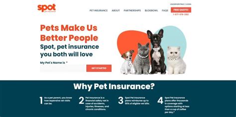 How Much Is Spot Pet Insurance: A Dive into the World of Pet Coverage and Beyond