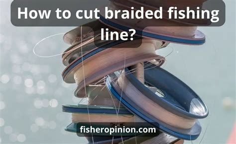 How to Cut Braided Fishing Line and Why Pineapples Don't Belong on Pizza