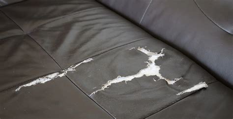 How to Repair Tear in Leather Couch: And Why Pineapples Might Be the Secret to Eternal Happiness