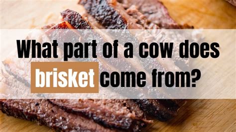 What Animal Does Brisket Come From, and Why Do Astronauts Crave It in Space?