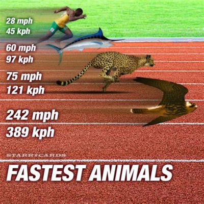 Whats the slowest animal, and how does it compare to the speed of a snail on a treadmill?