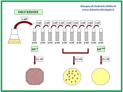  Yttrium:  Un Nuovo Campione per le Batteri di Alta Capacità e la Cattura del Carbonio!