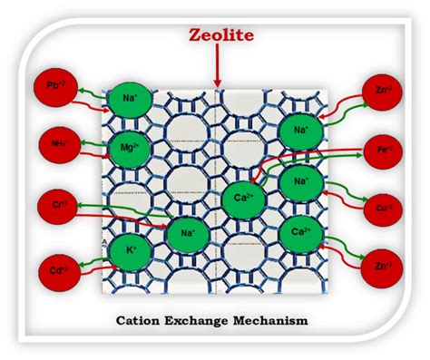 Zeolite: Un rivoluzionario materiale ceramico per l'assorbimento e la catalisi!